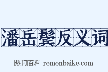 潘岳鬓反义词是什么意思的图片